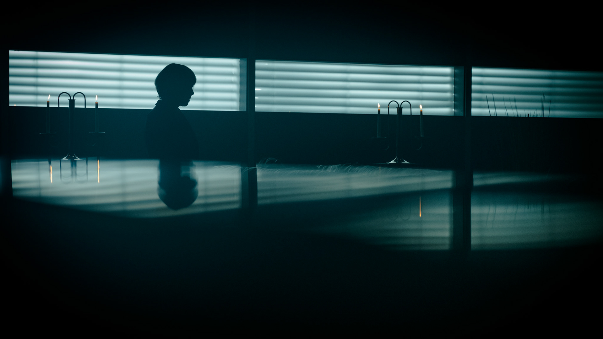 TATORT-Tiere der Großstadt