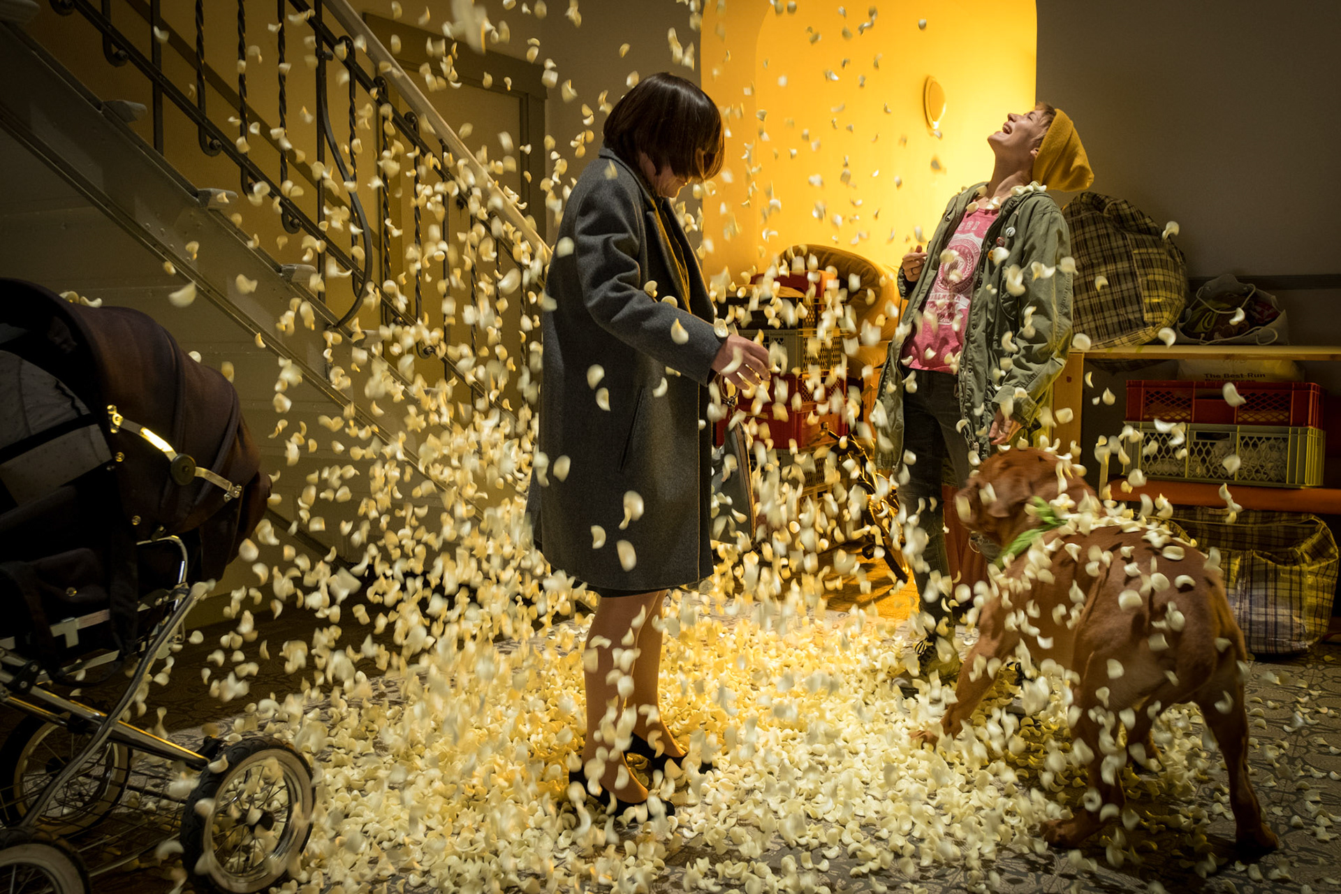 Meine Nachbarn mit dem dicken Hund