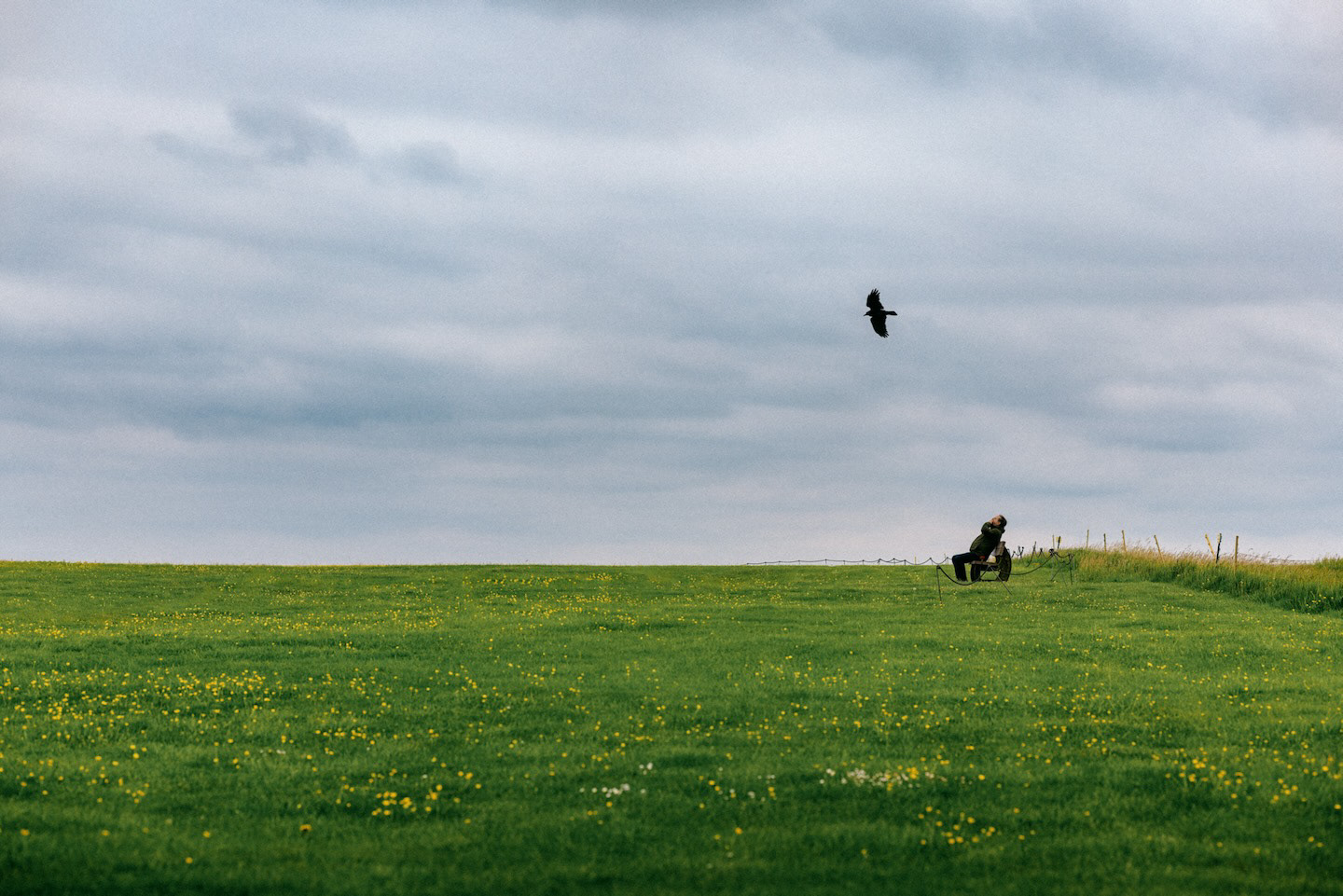 The Man and Bird — Edge of Night