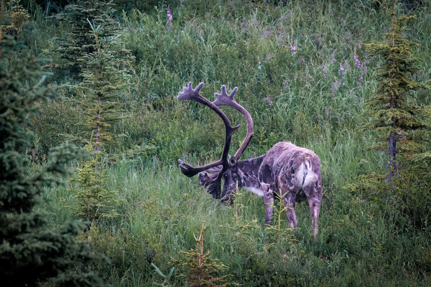 Dark and Rainy — Find a Melody (Slowed)