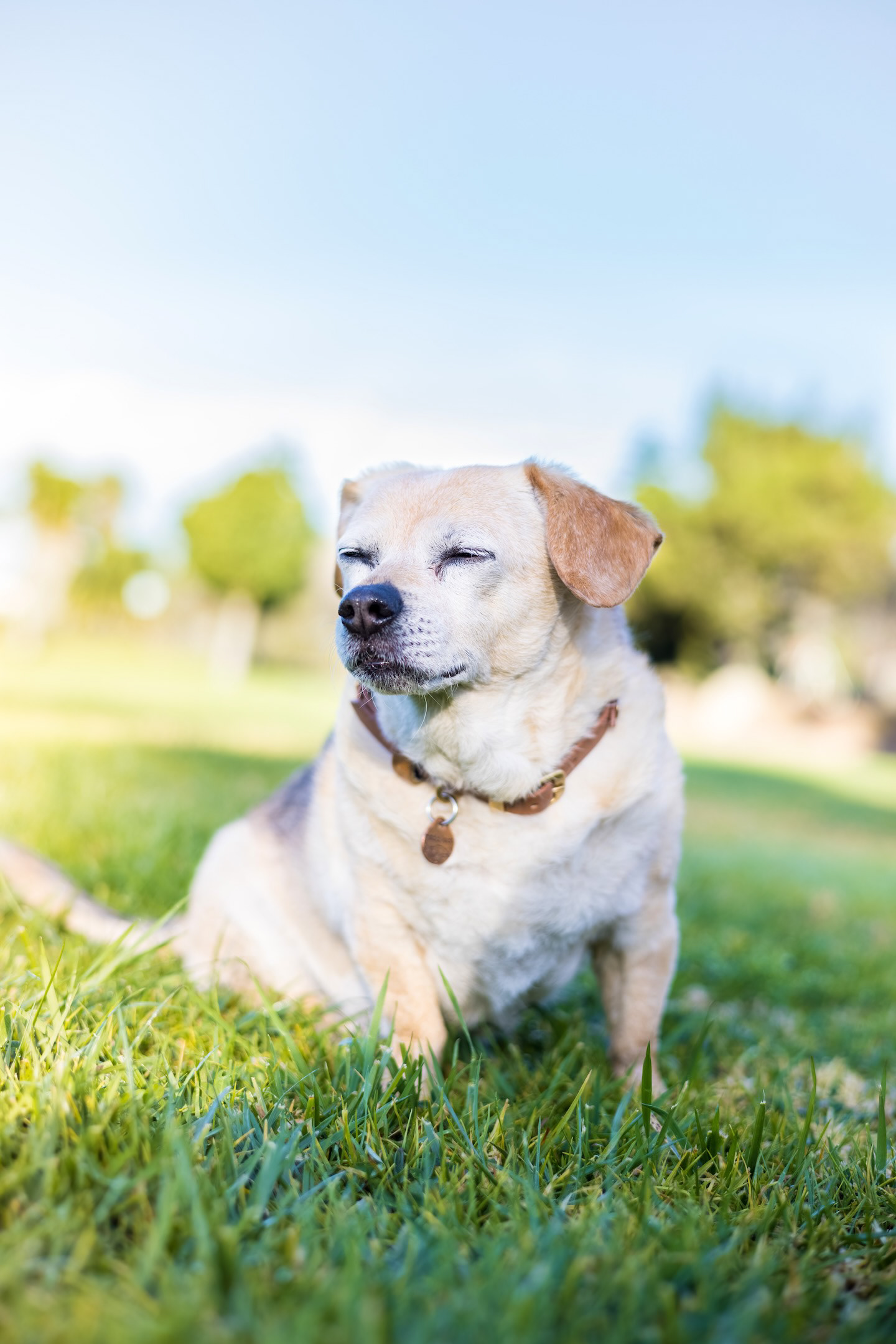 2023- Two years little one…but the memory of you, the light you left in our lives, remains as strong as ever. Love you, forever and ever.