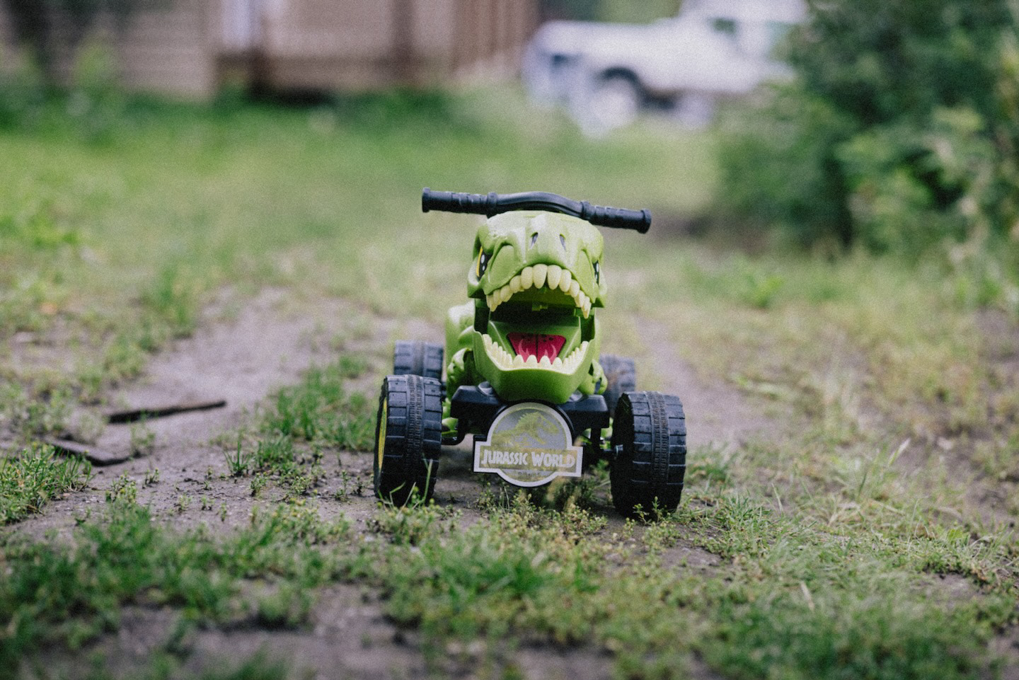 Miss my little dinosaur.