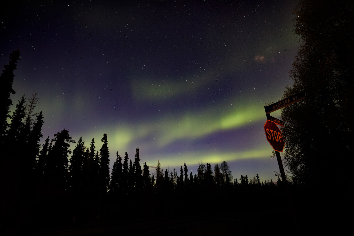 This first shot is now one of my favorite photos. And no, I didn’t take this. This shot was captured by the little human who’s completely stolen my heart. It’s curious how much they observe and pay attention to the things you do. We took him out to see the aurora (definitely past his normal bedtime) and it was really the first time he could grasp the magic that was happening above his head, way up high in the dark sky. He stared at the dancing lights and then watched as his dad tried to capture the fleeting moment. Then it was his turn. He insisted on looking through the viewfinder and pushing the shutter button himself. He did so with such an agency that it might suggest he’s had plenty of experience doing this before. He’s still very young, not even 2, but perhaps we created a core memory last night; the night in Alaska, under the twinkling lights of the aurora. — Interstellar Zhanna