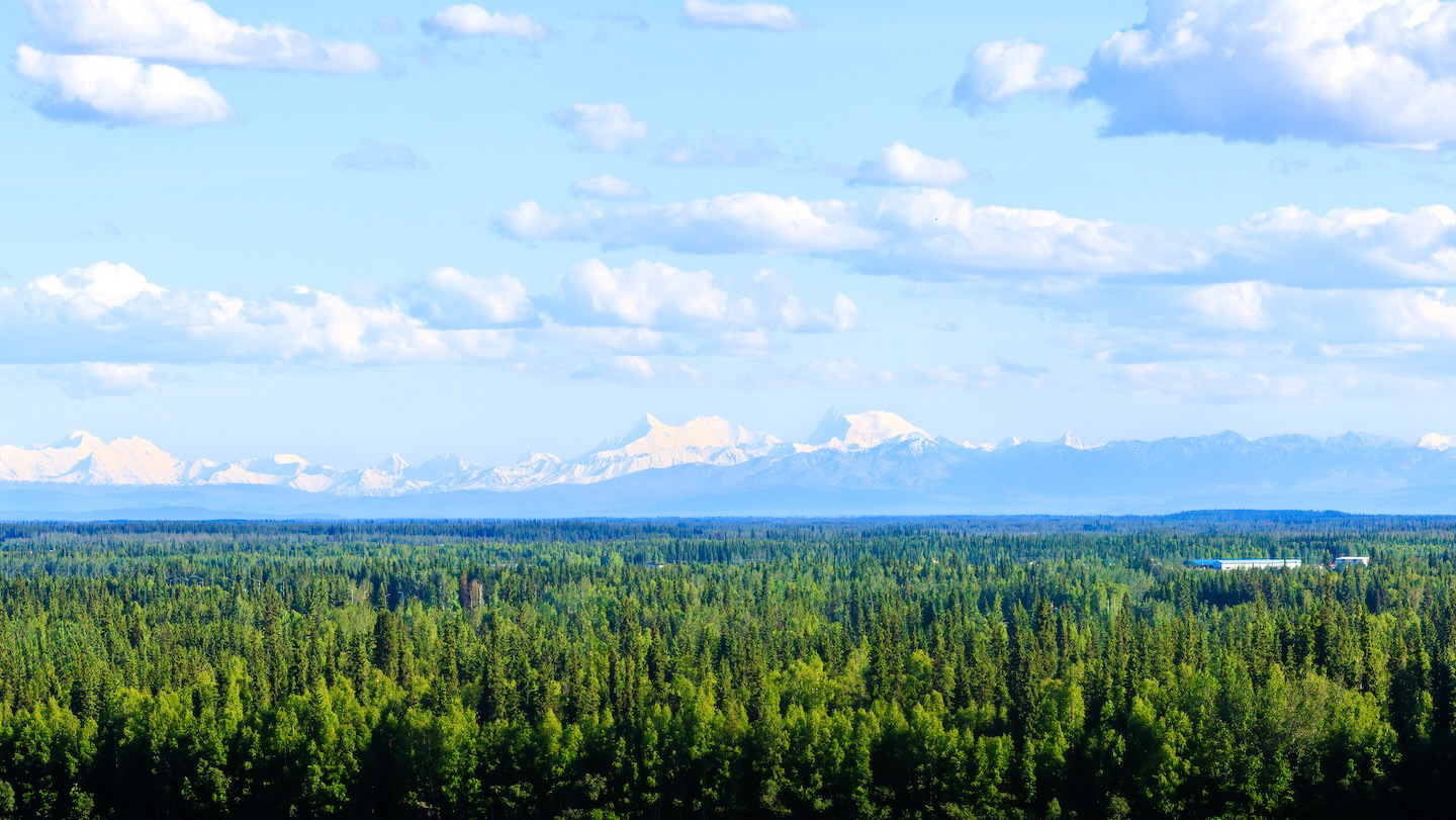 Office Views — Natural Florian