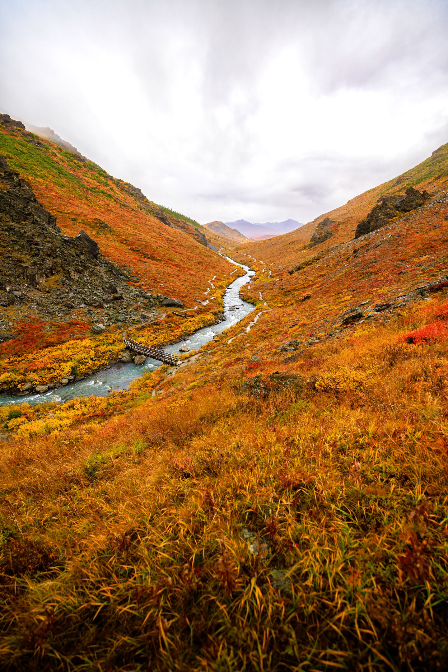 A beautiful land in the North — Exta