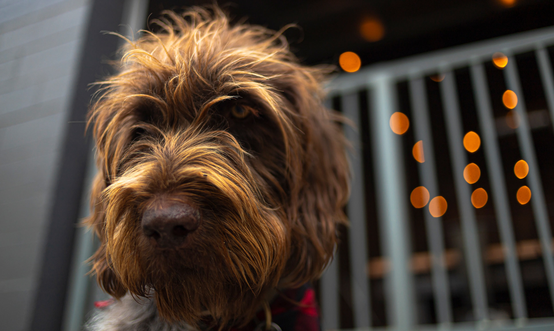 Odin lifestyle portrait