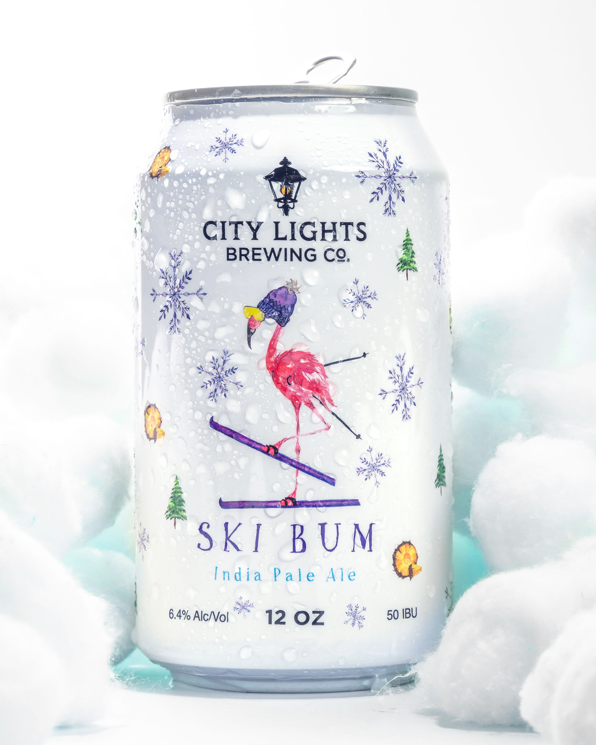 Ski Bum IPA from City Lights Brewing