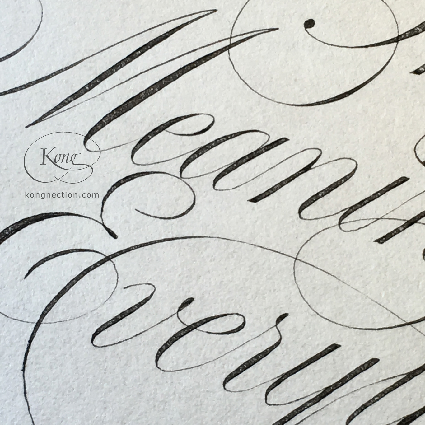 The Meaning of Everything (Detail)