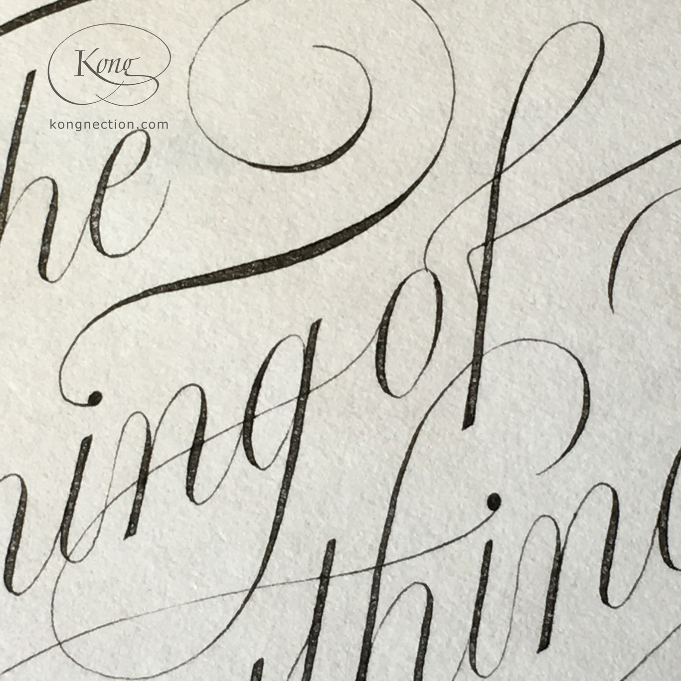The Meaning of Everything (Detail)