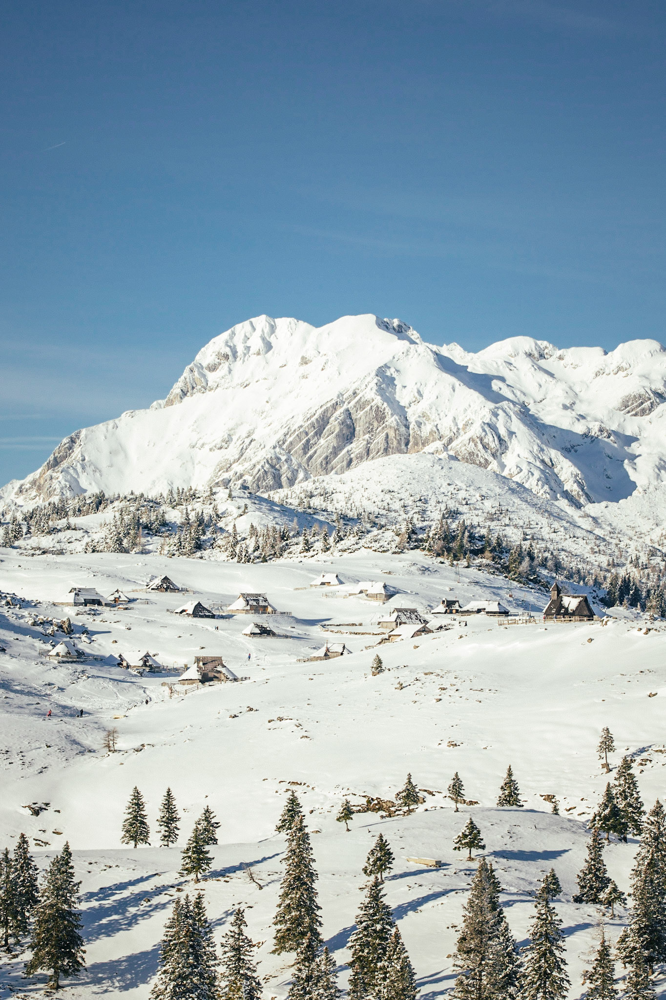 Winter home
