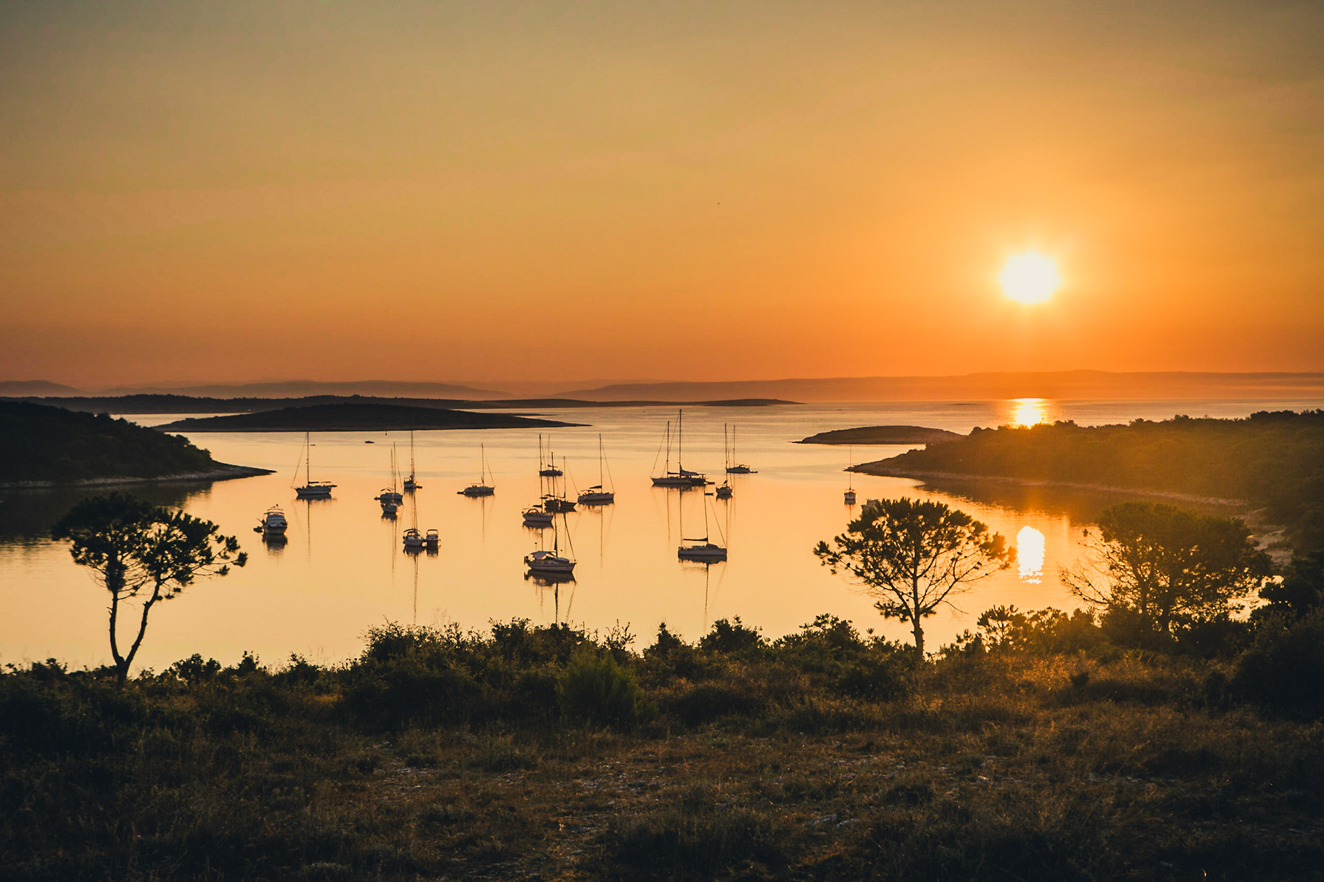 Warm sunrise