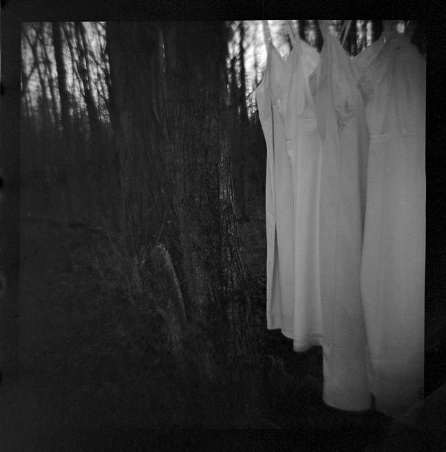Rachel TObin