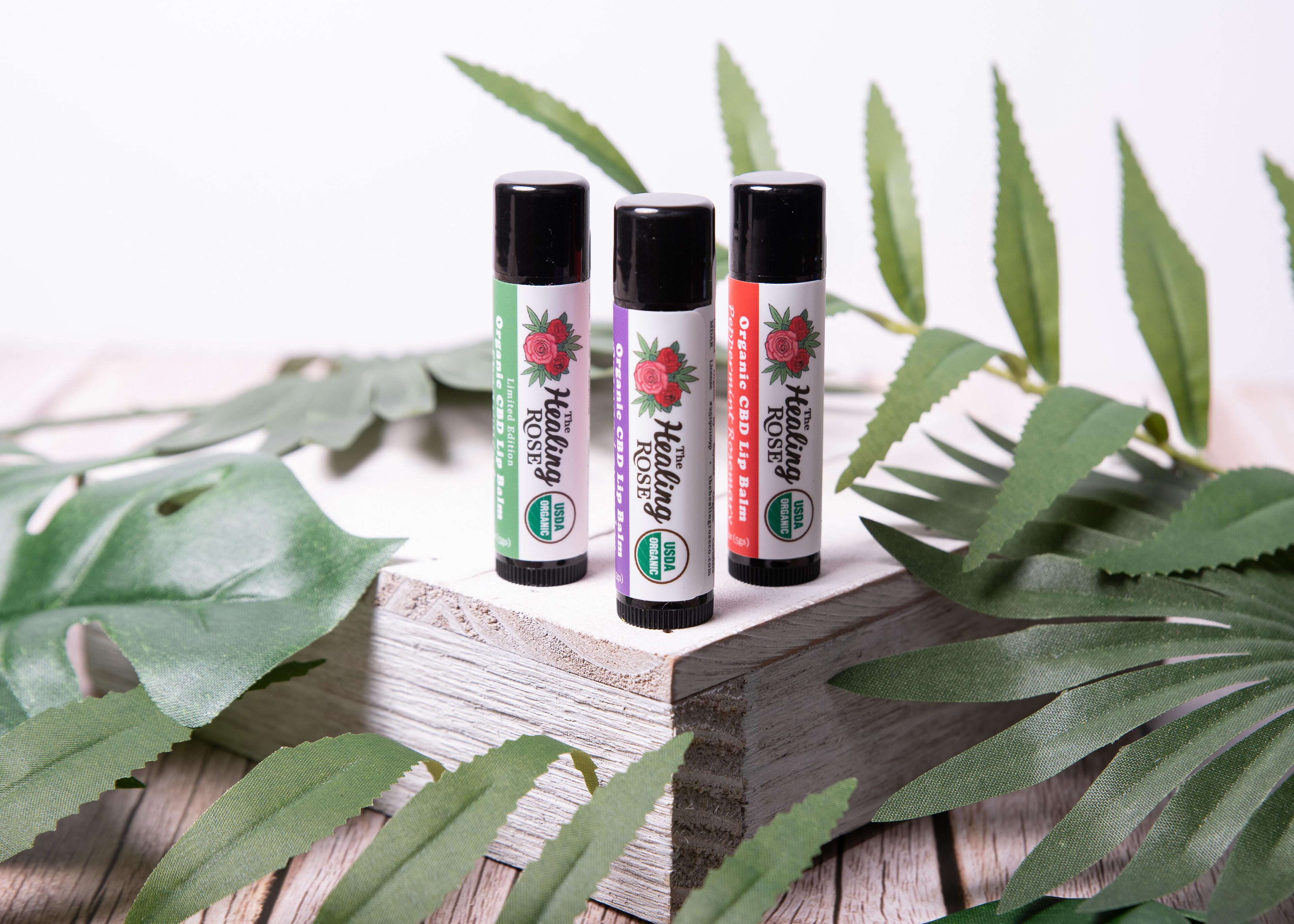 RI Product Photographer
