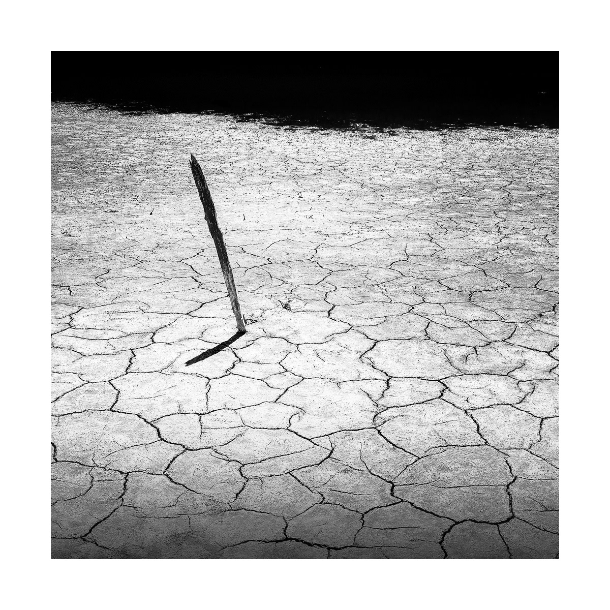 Salins de la Sèche -Gruissan - 2023