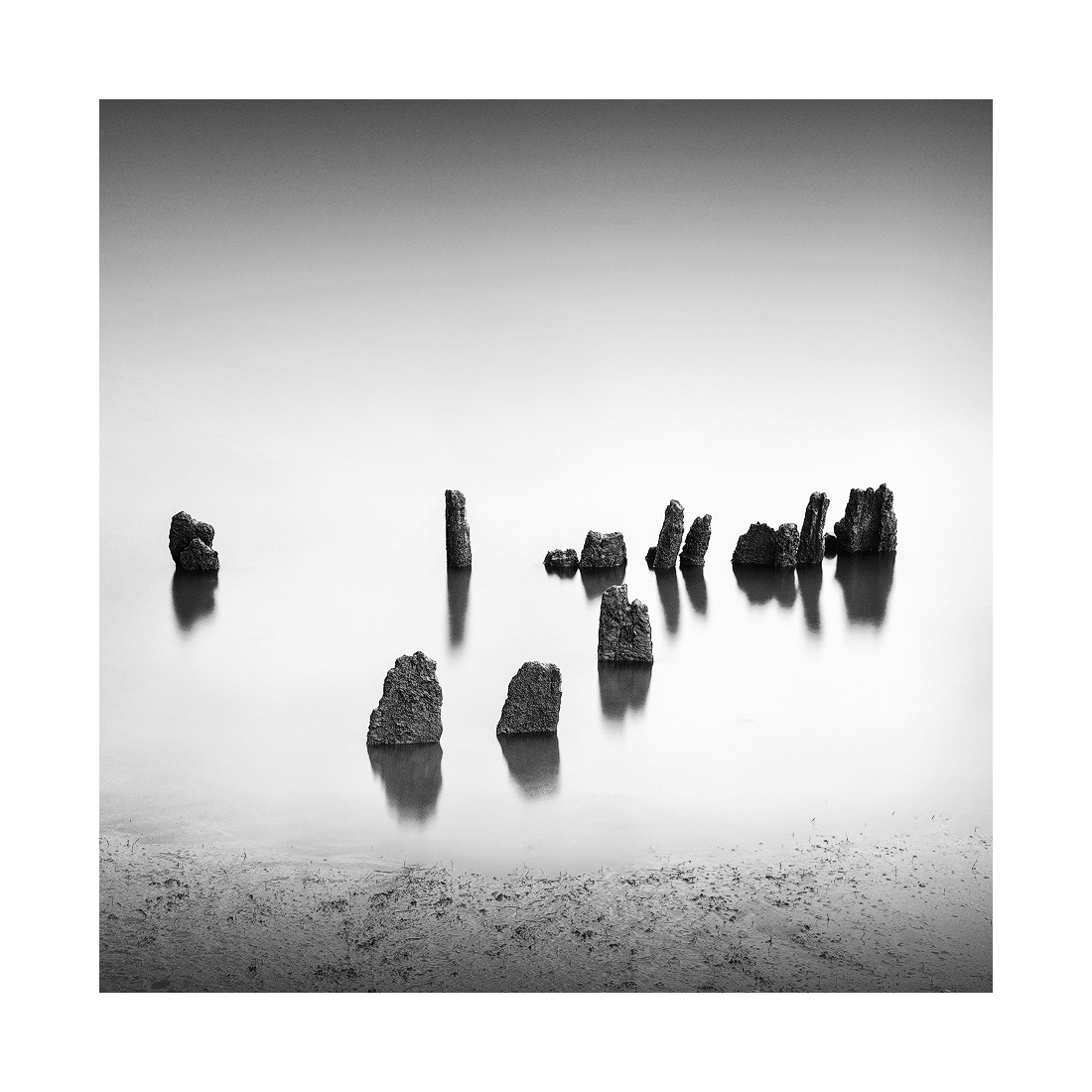 Salins du Quinzième Marseillan - 2022