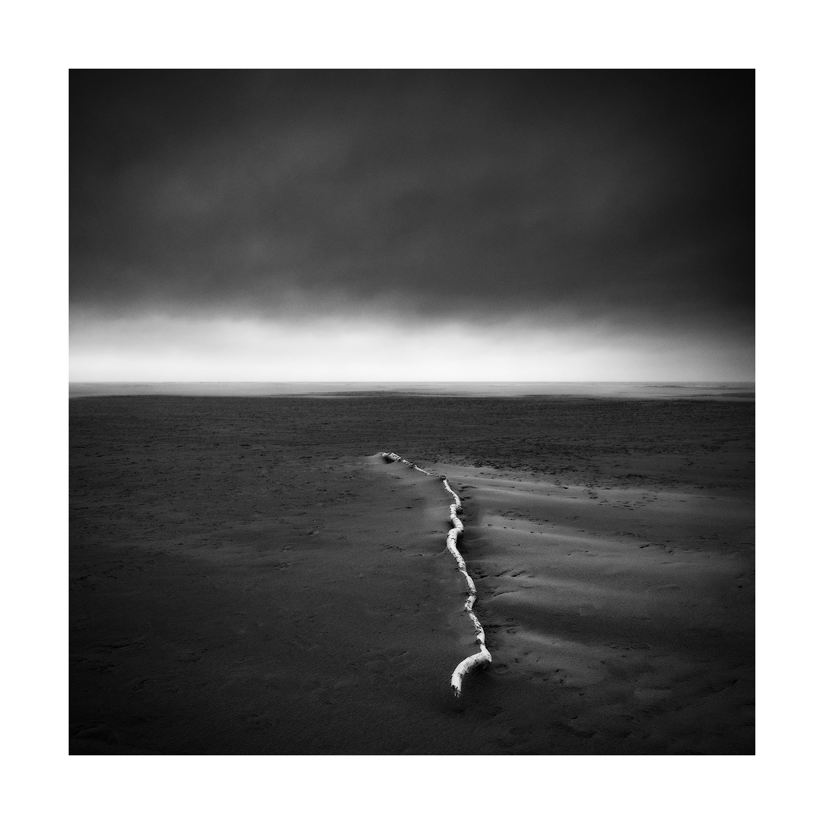 Plage de l'Espiguette - 2022