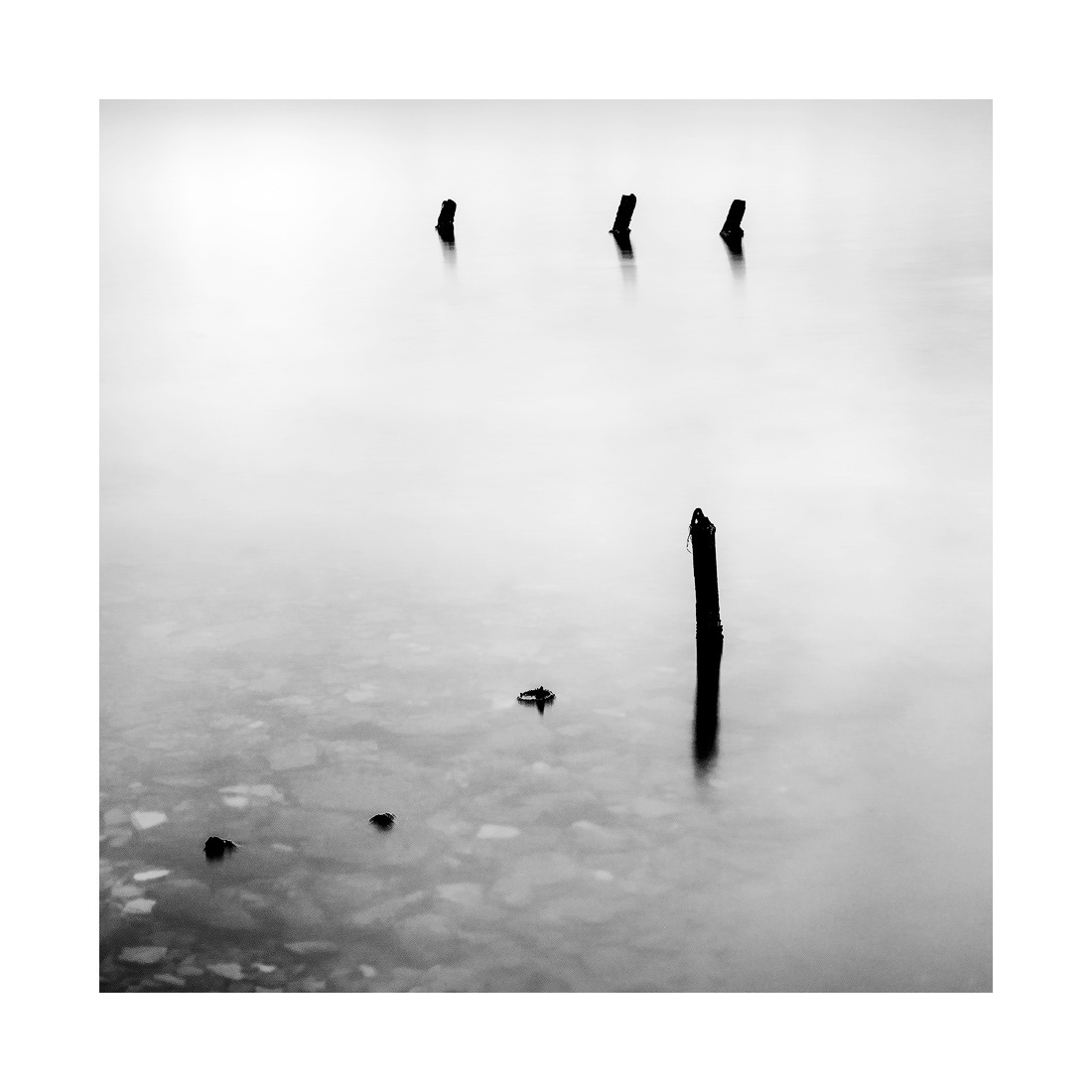 Salins du Quinzième - Marseillan - 2022