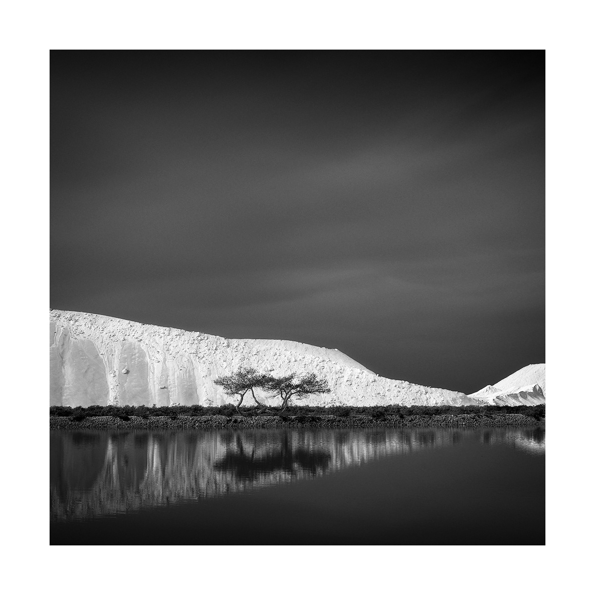 Salins d'Aigues-Mortes - 2022