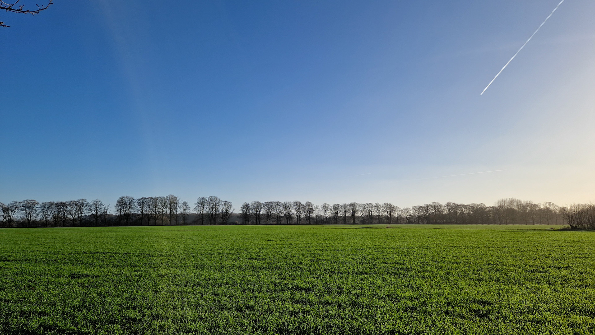 Frisse wandeling