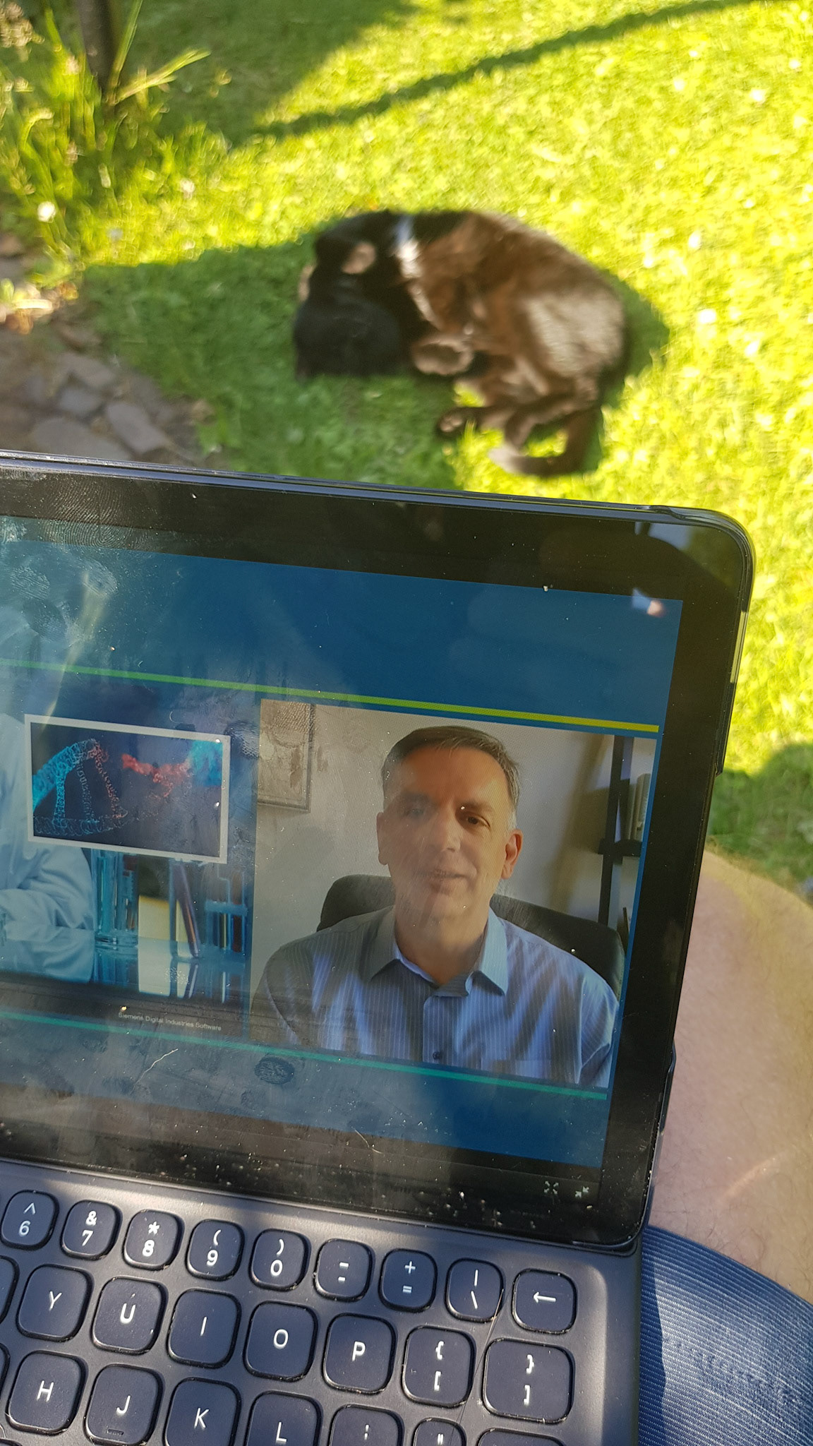 Cats don't care for PLM