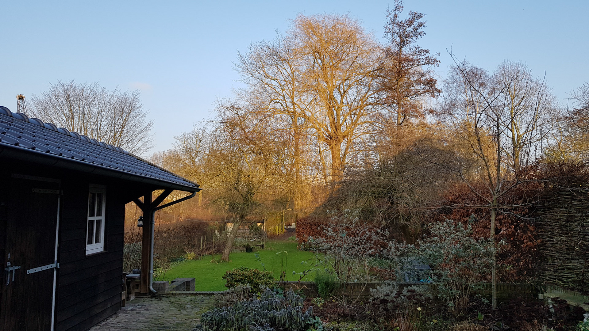 De dag voor het snoeien