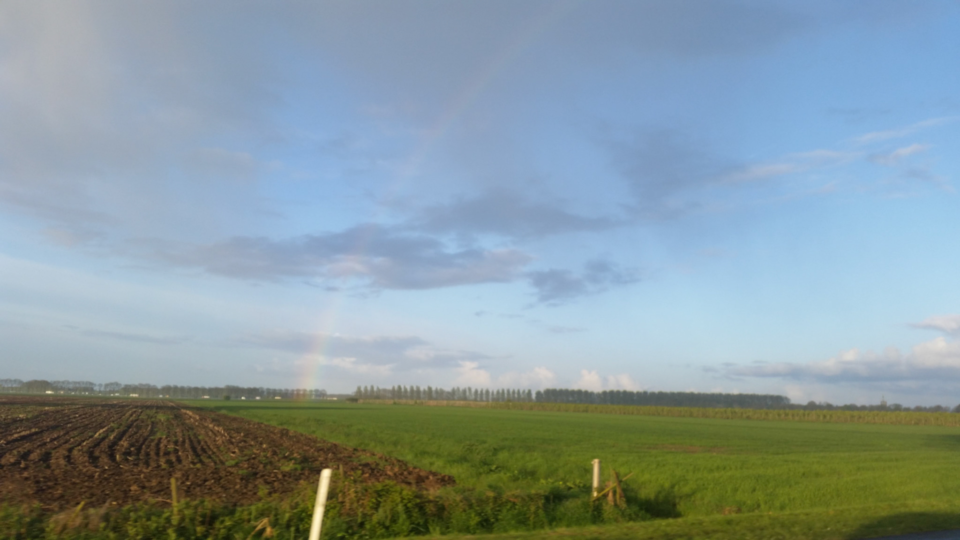 Regenboog in t veld
