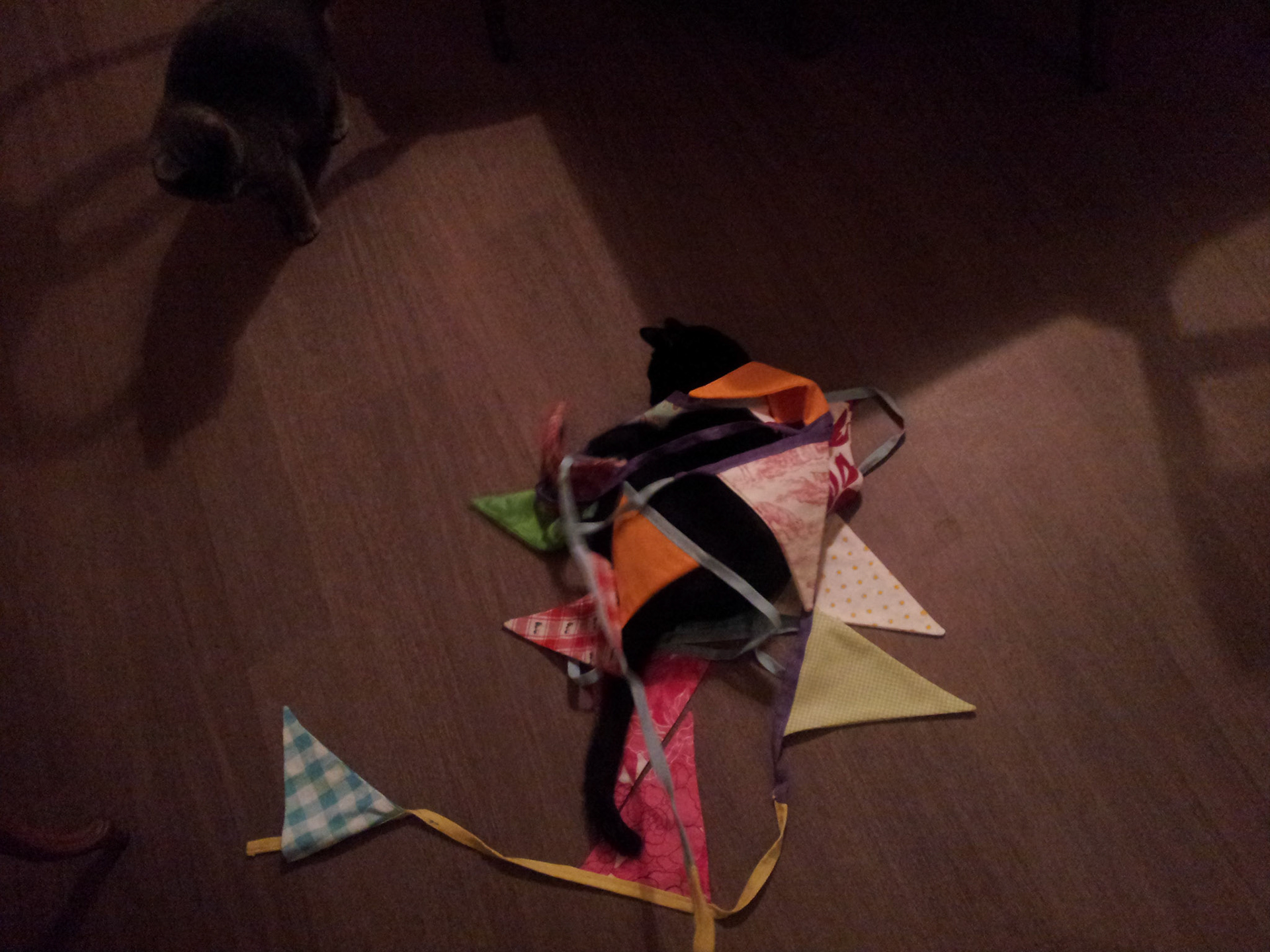 Katten kunnen geen slingers ophangen