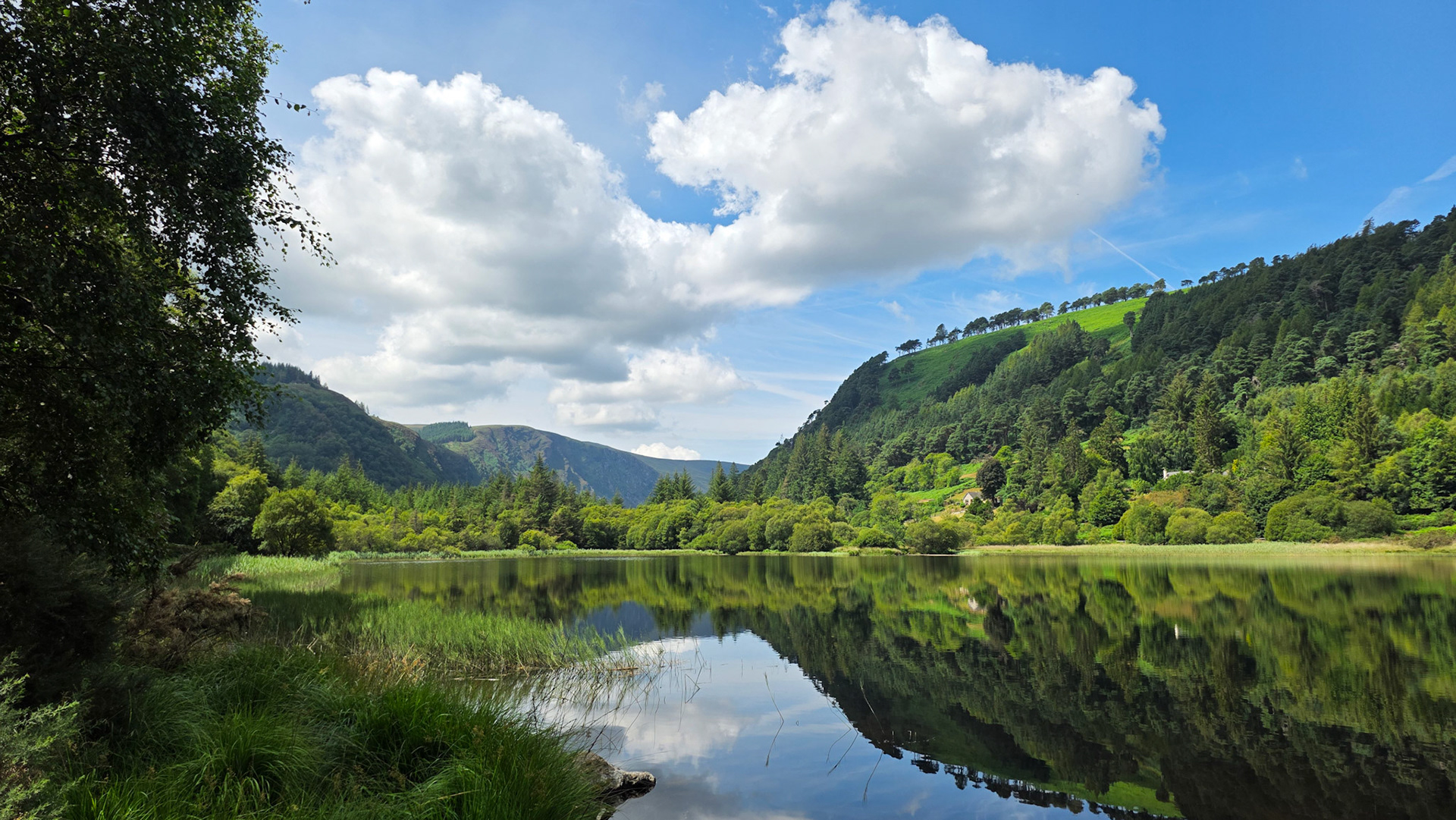 Wicklow