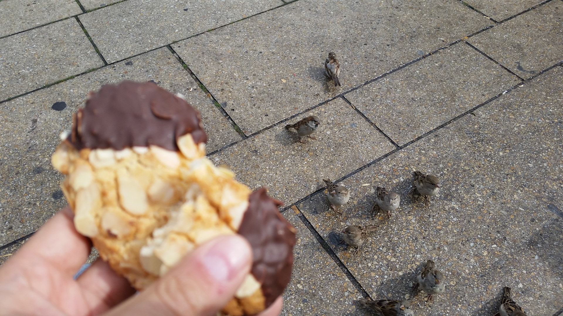 Musjes willen mijn Mandelhörnchen