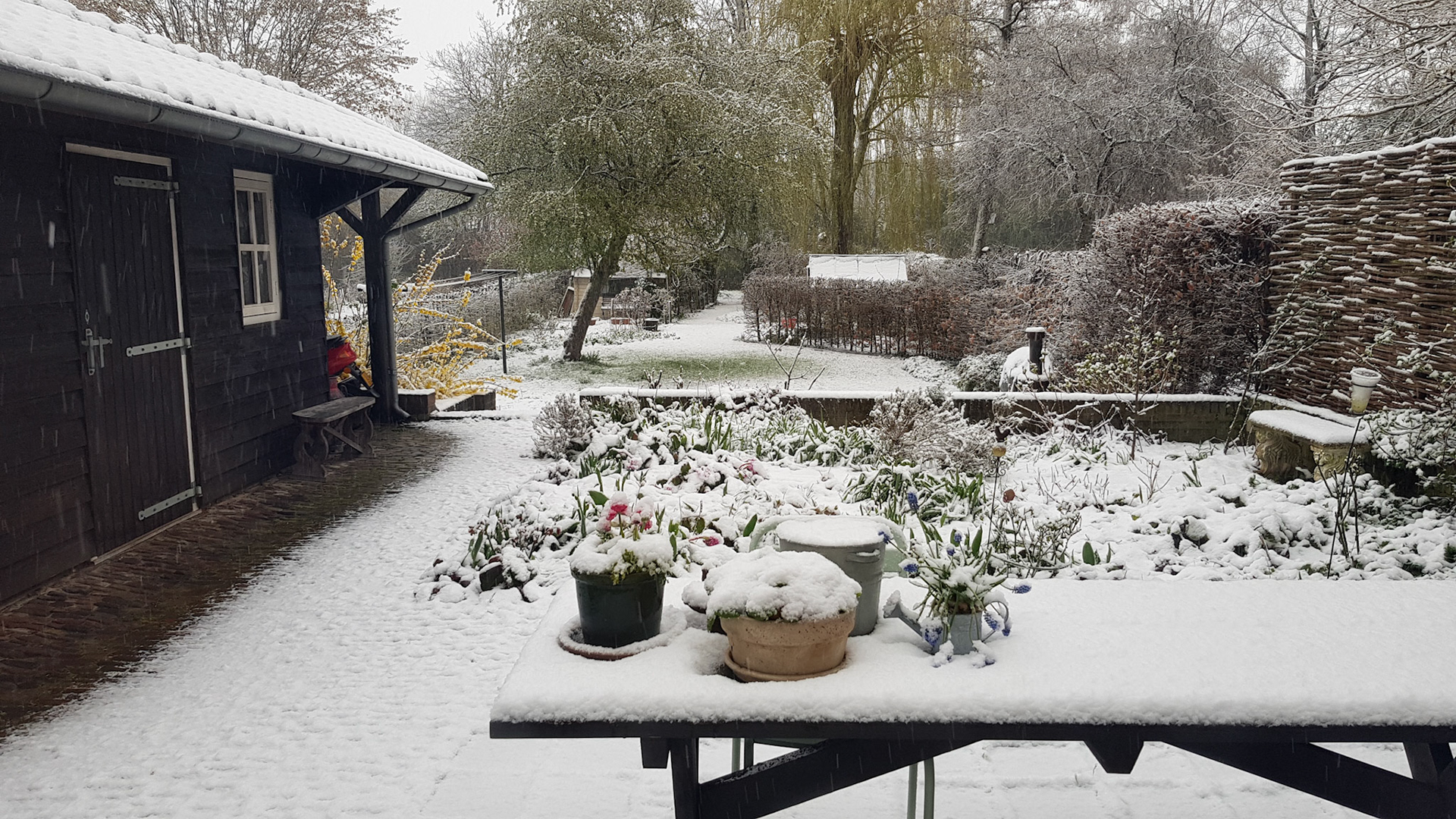 Sometimes it snows in April