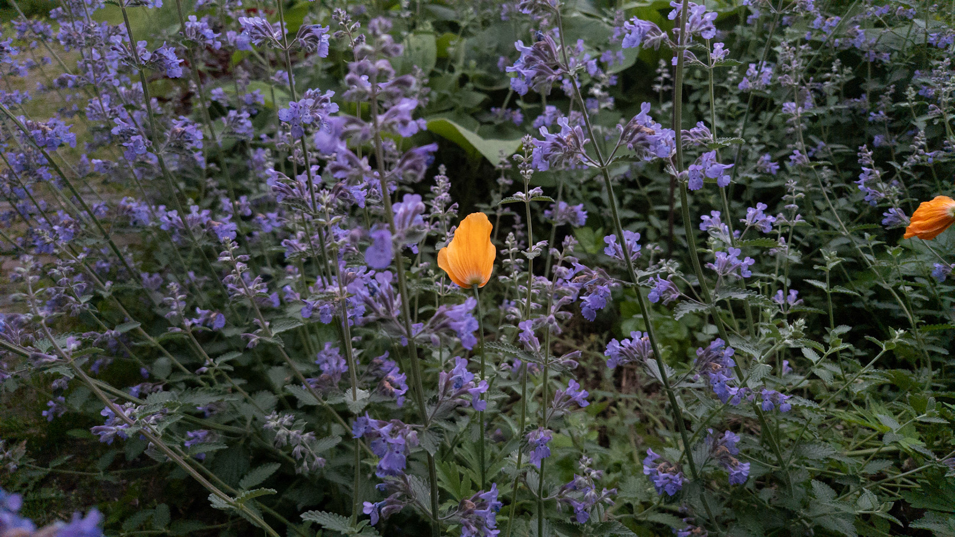 Standing out
