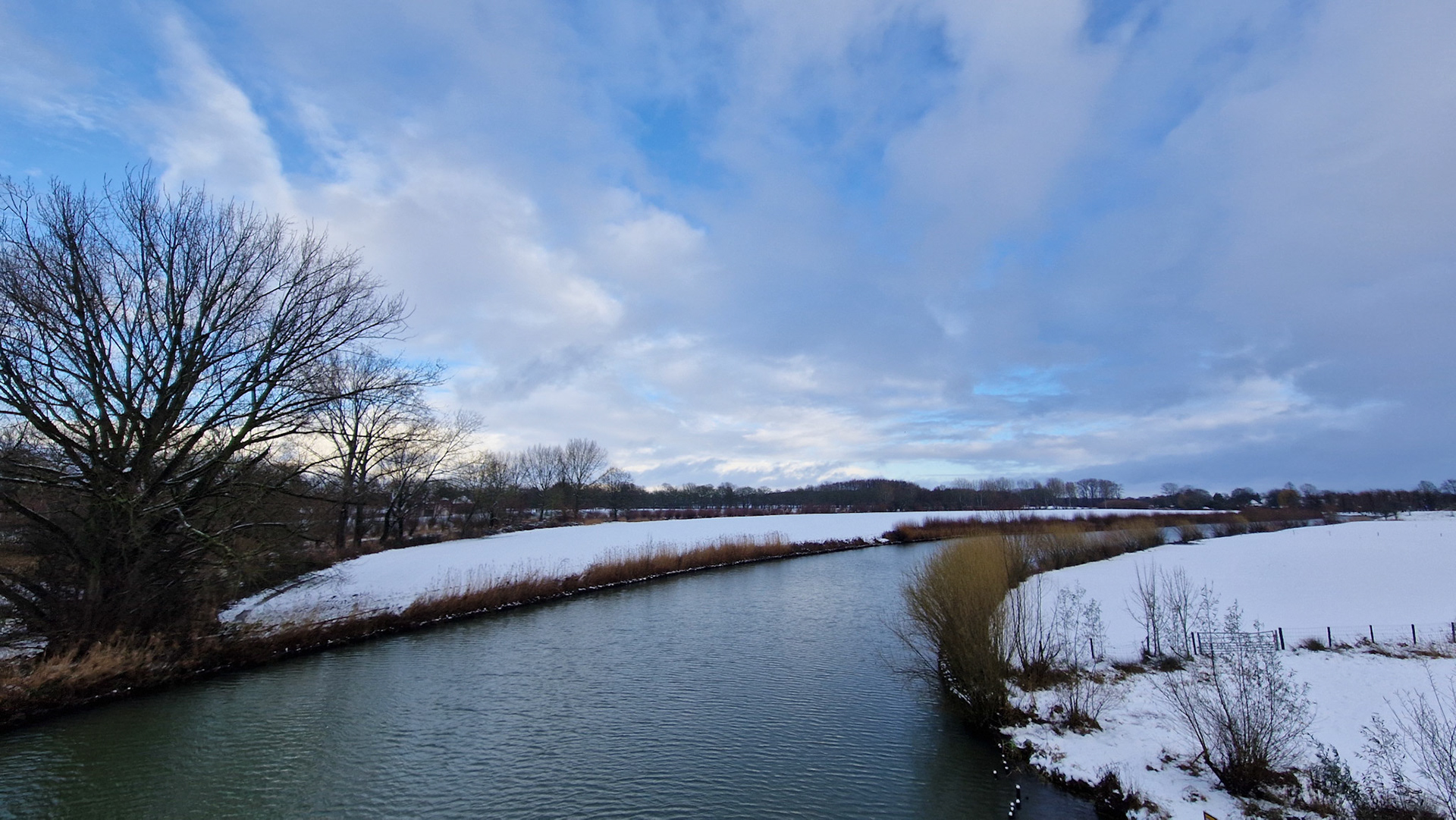 Winter Linge