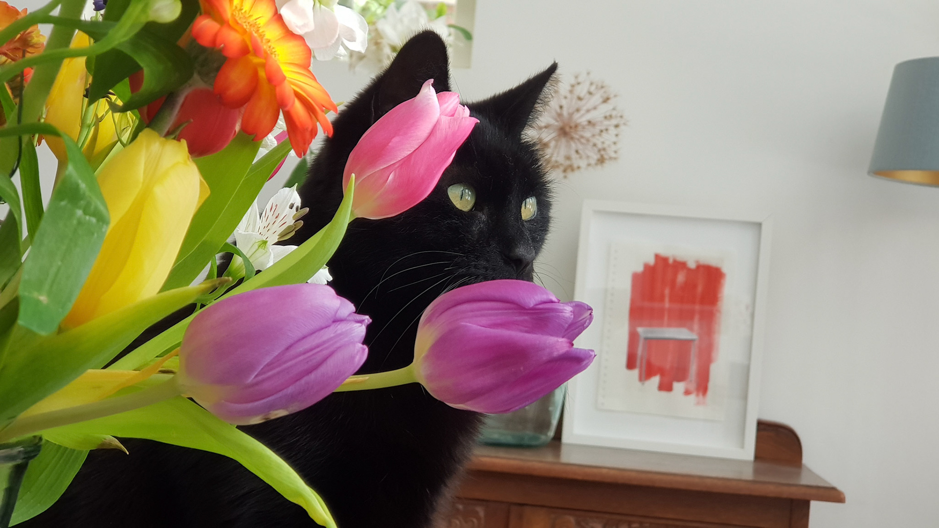 Hiding behind colors