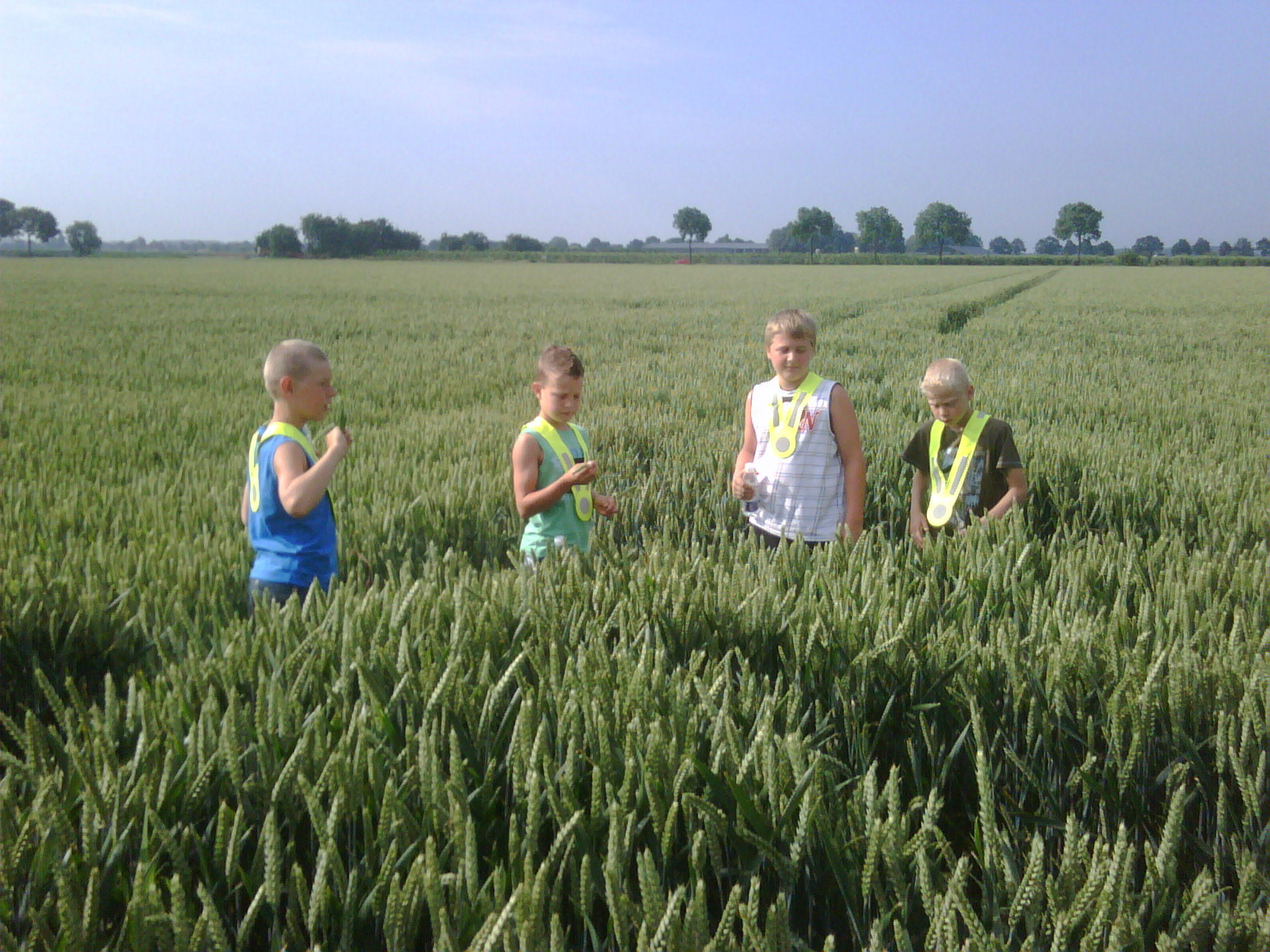 Mannen in het graanveld