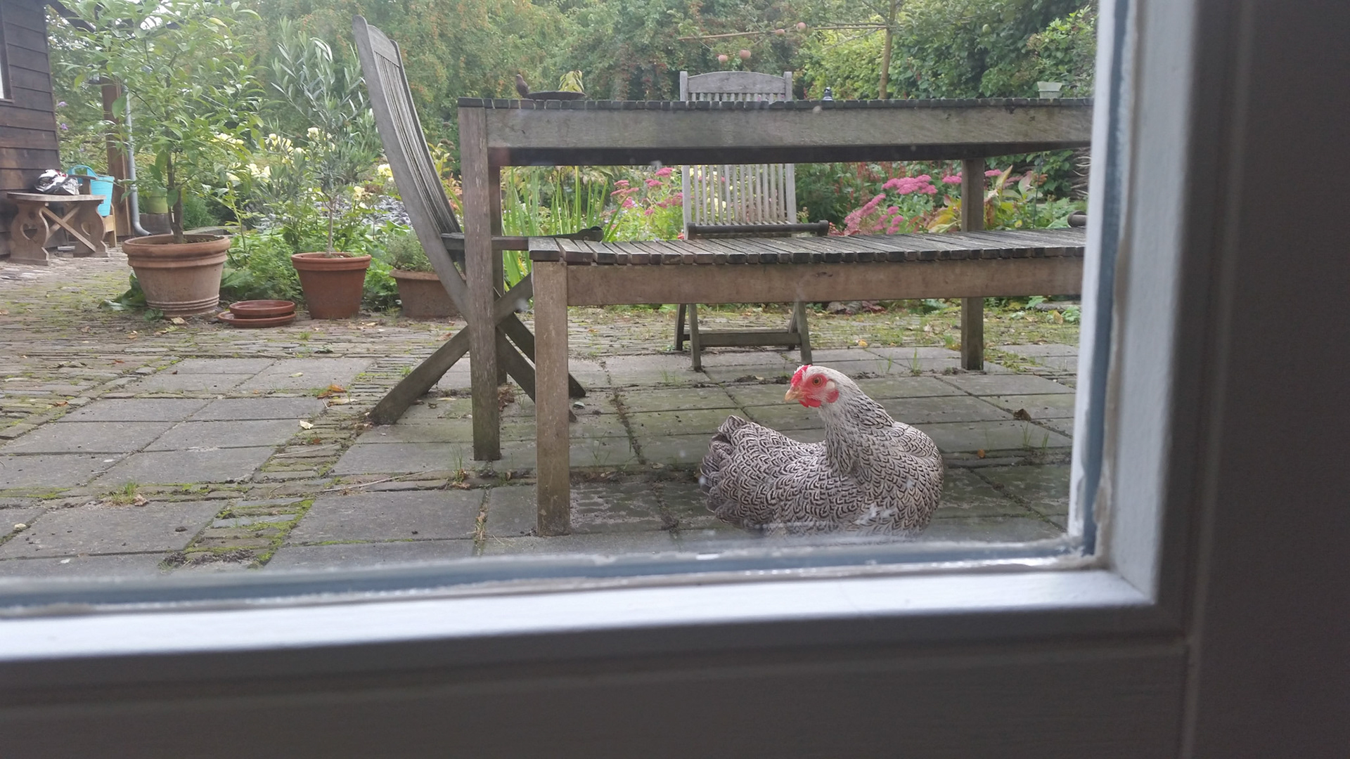 Joehoe ik heb honger