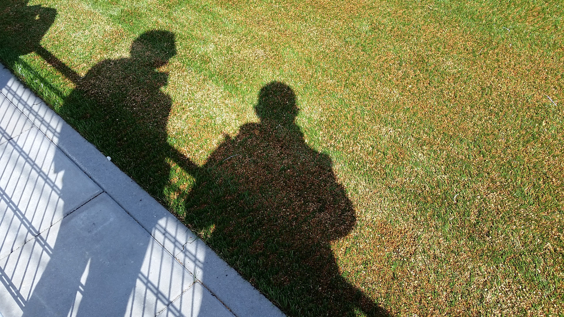 Rhelico kunstgras met KURK!