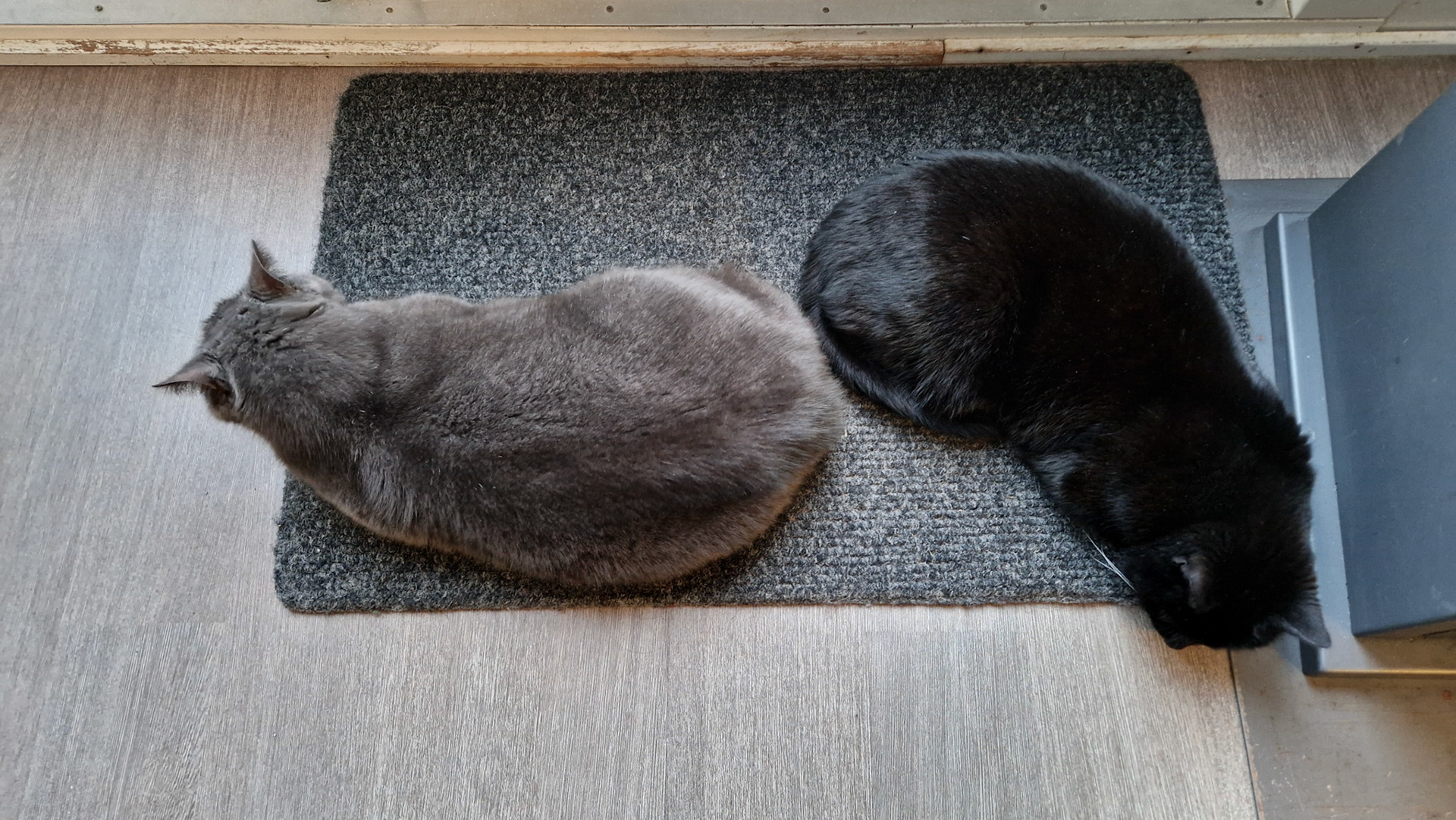 Sharing space