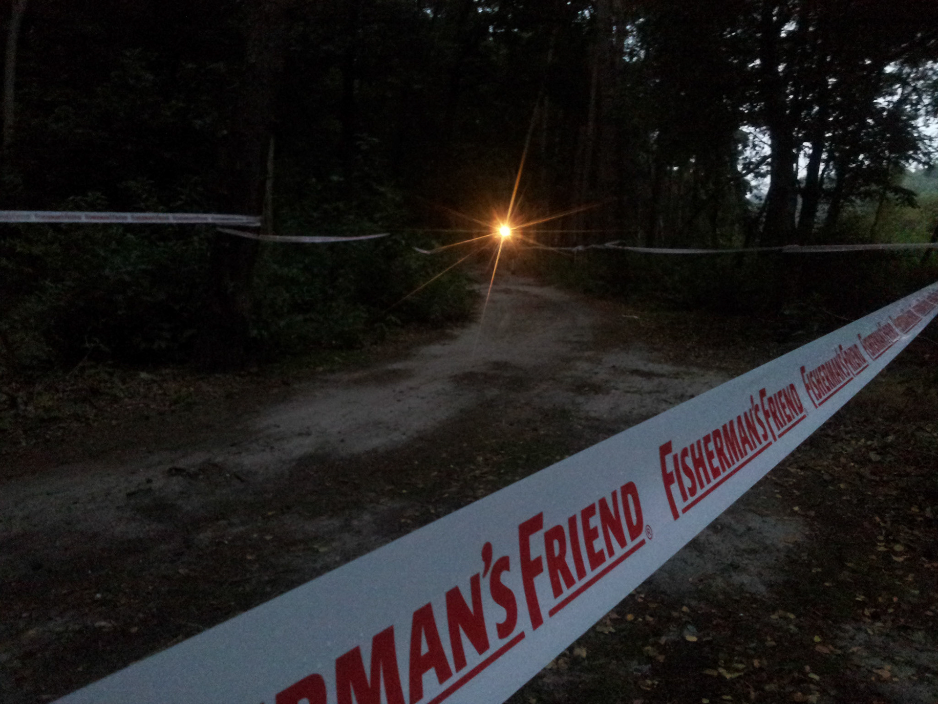 Misterieus licht in het donker bos