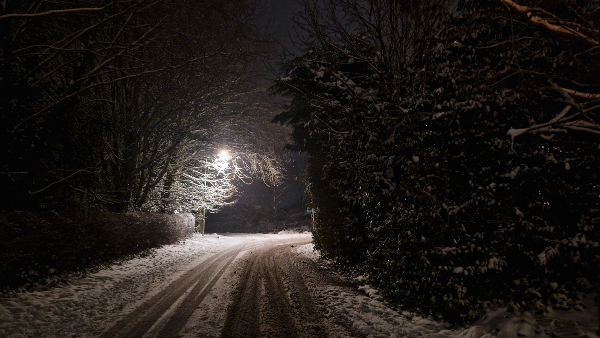 Snowy evening