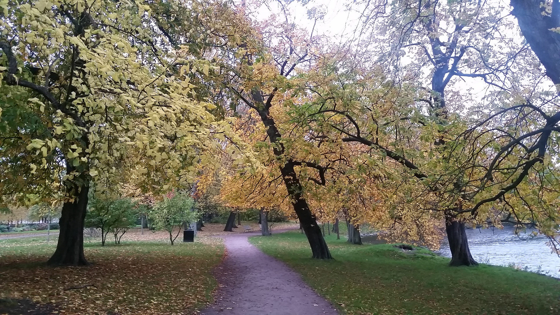 Herfstloopje in Götenborg