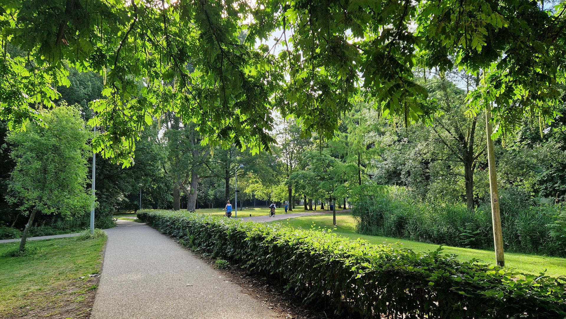 Verrassend groen
