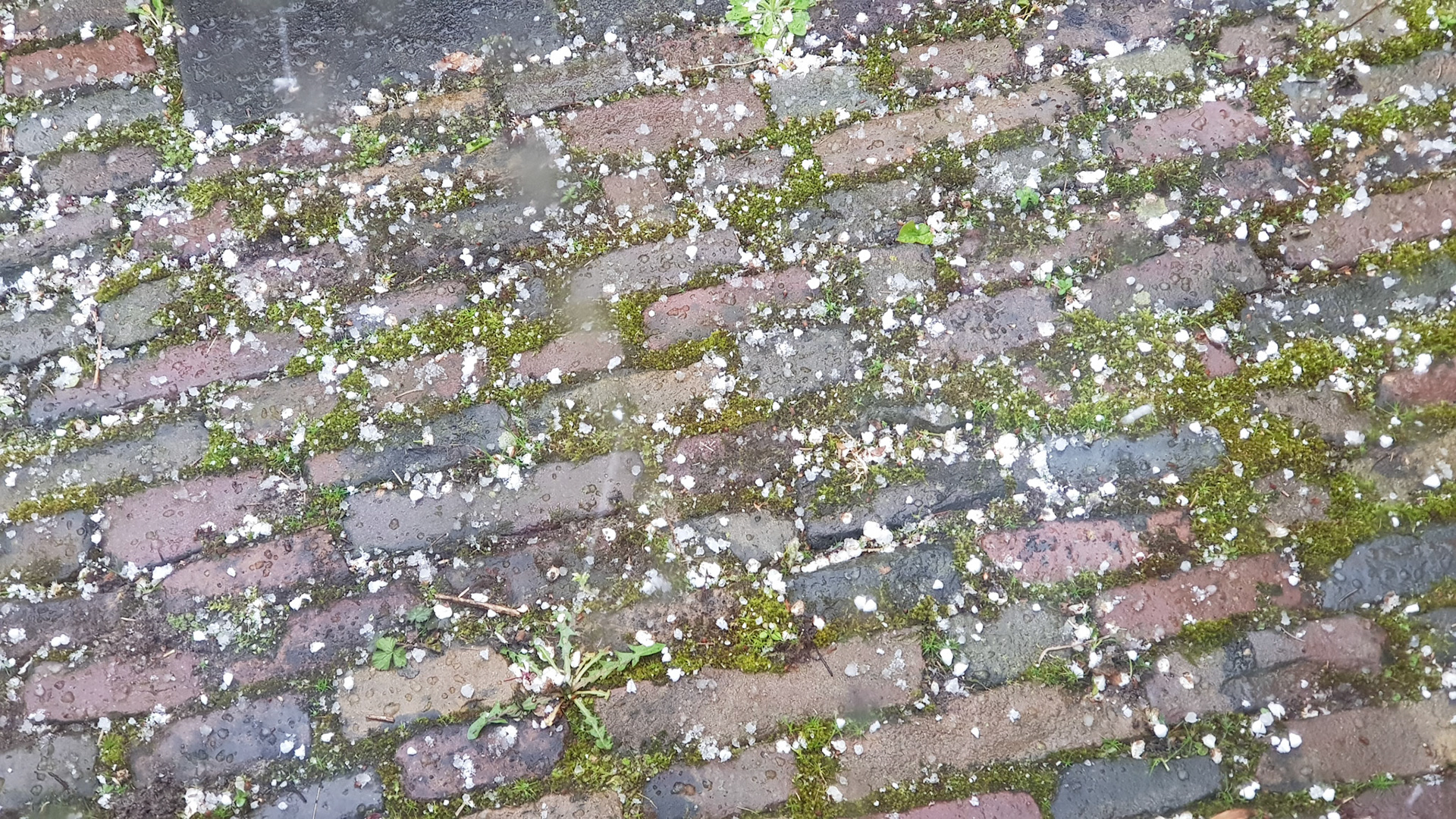Hail storm