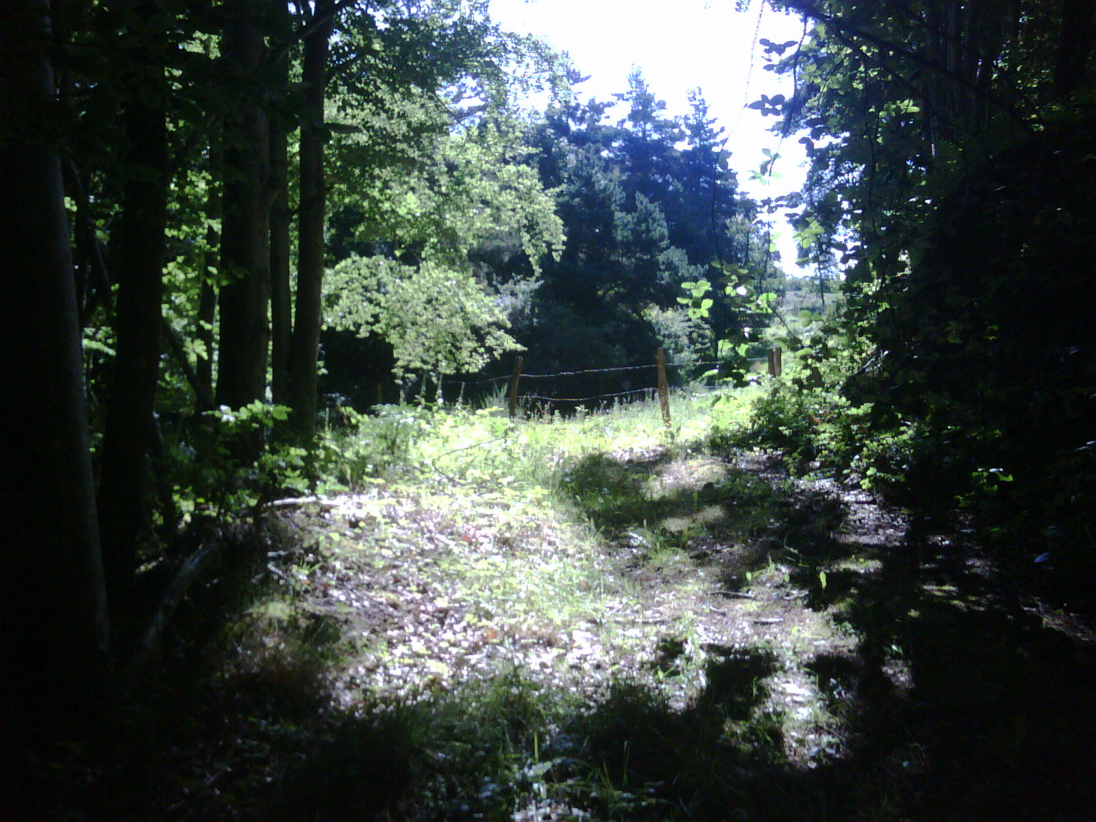 Cross-country ad hoc running in France leads to a dead end