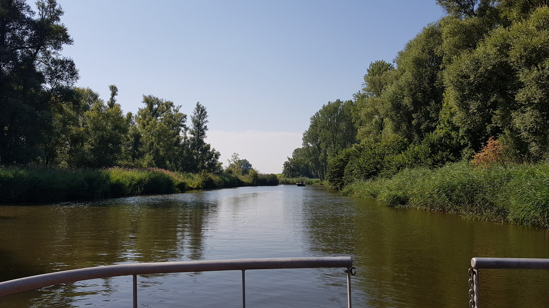 Biesbosch