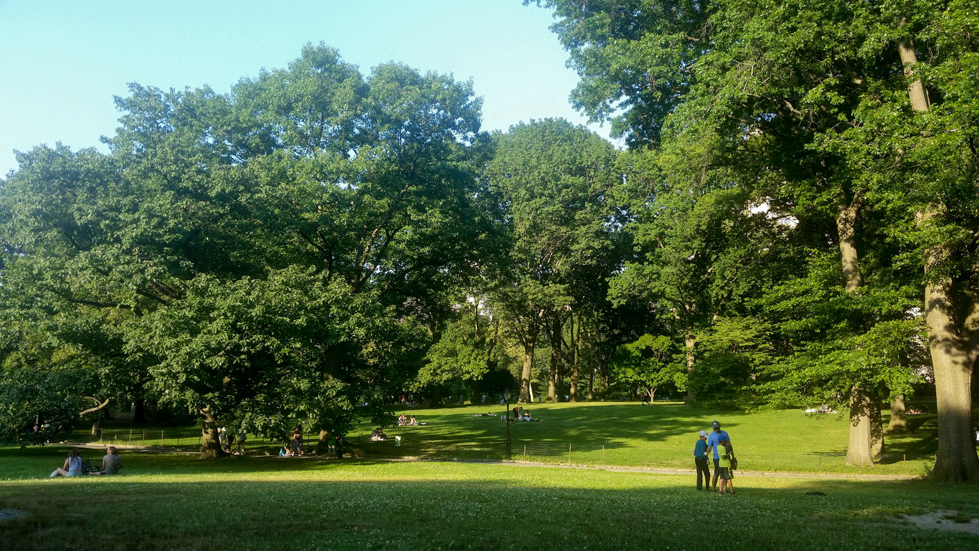 Relaxing in Central Park