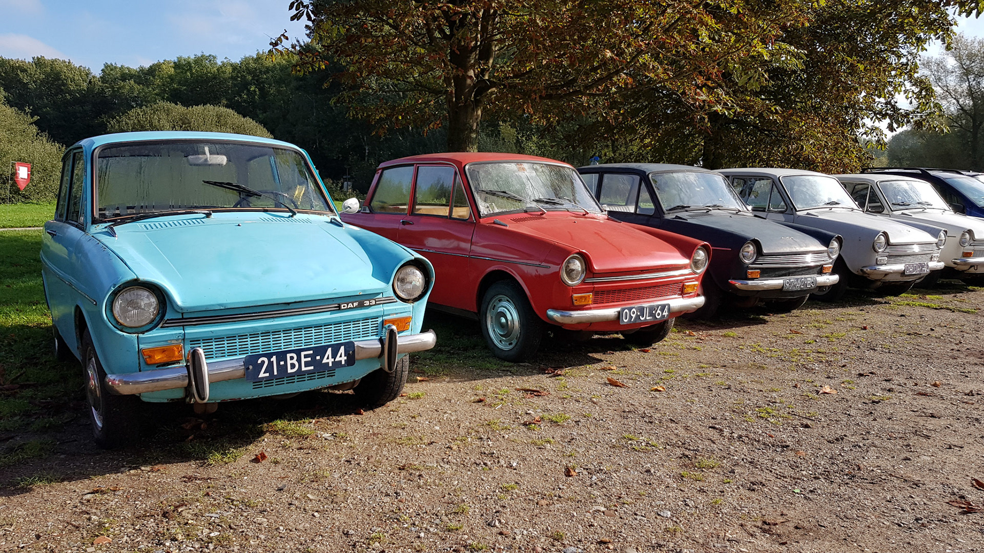 Dafjes op de parkeerplaats