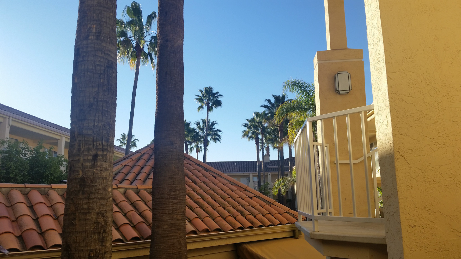 Good morning San Diego!