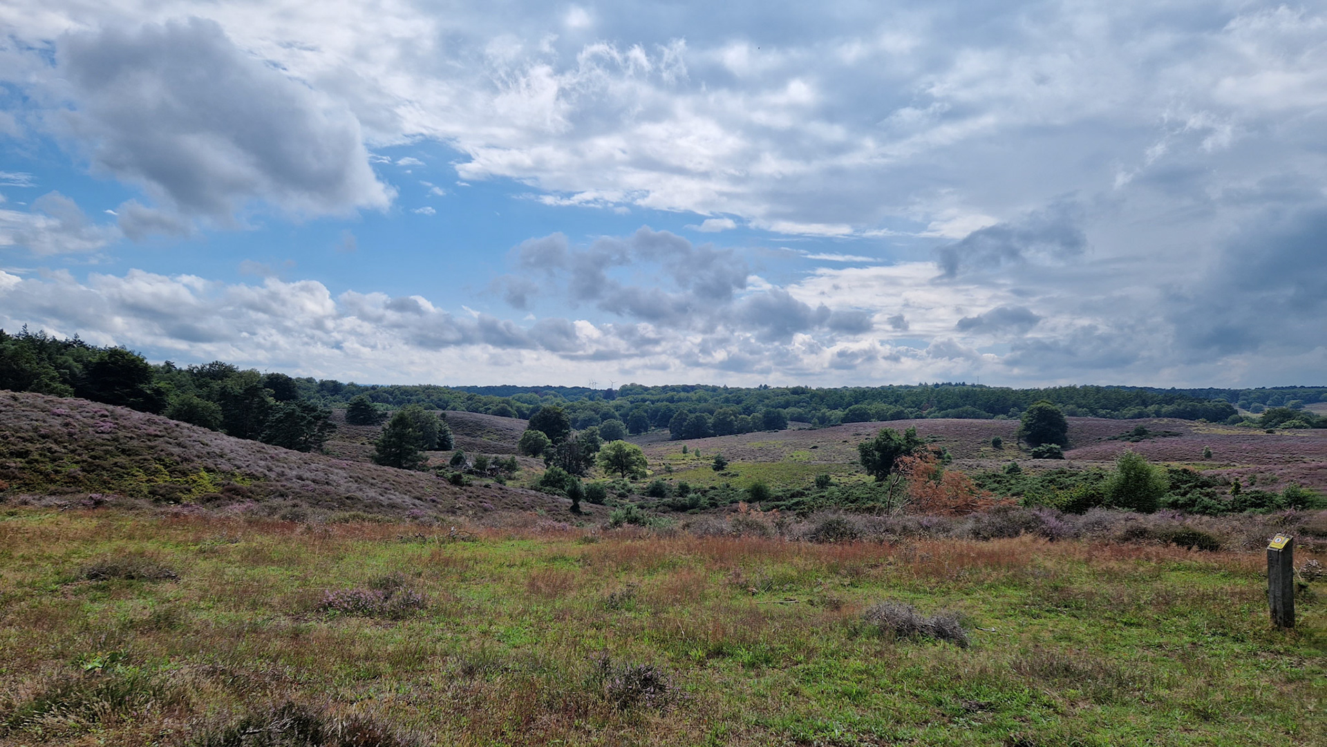 Wandelen op de Veluwe