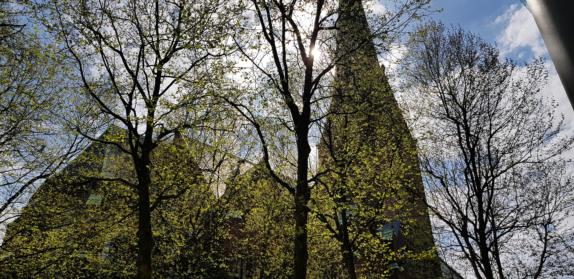 Spring in the Monckenbergstrasse