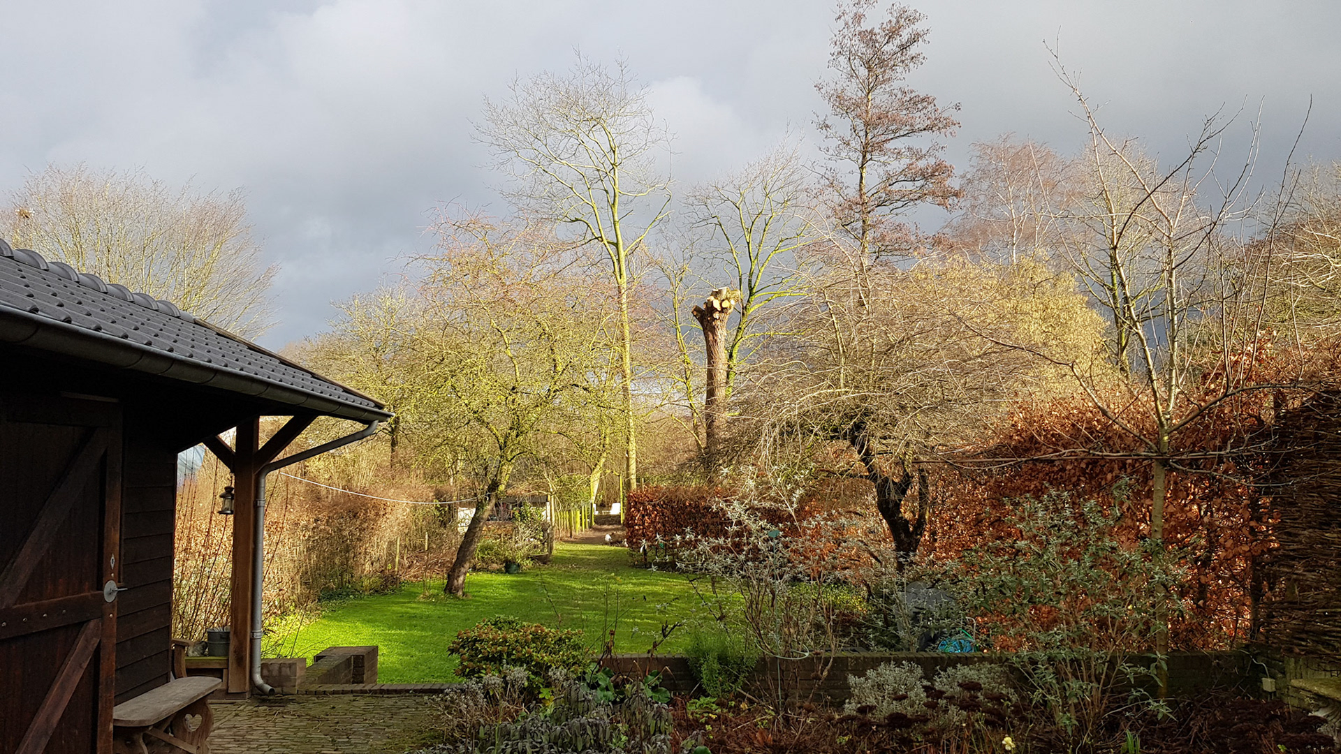 Een week na het snoeien